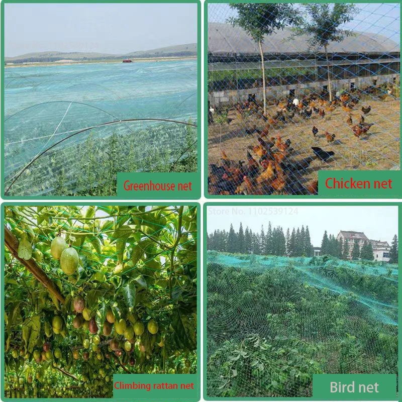 Protective Fence Net Anti-bird - đánh giá và giá Fishing Equipment Net