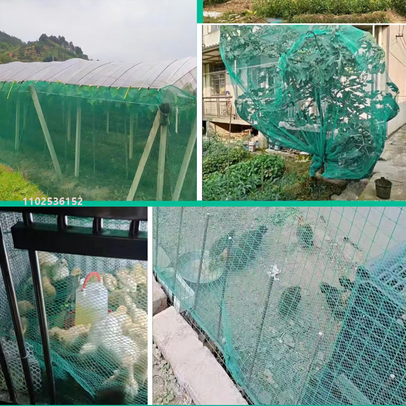 no-knots net Bird-proof Grape  - đánh giá và giá Fishing Equipment Net