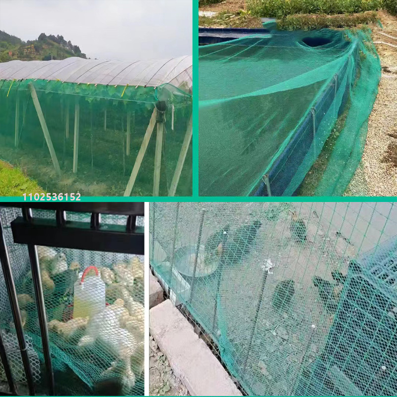 no-knots net Bird-proof Grape  - đánh giá và giá Fishing Equipment Net
