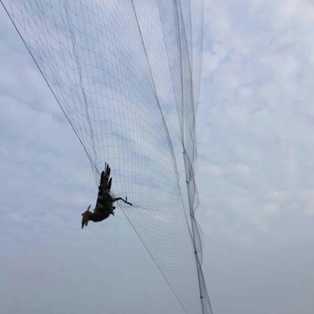 Bird Net Anti Bird Catcher Net - đánh giá và giá Fishing Equipment Net