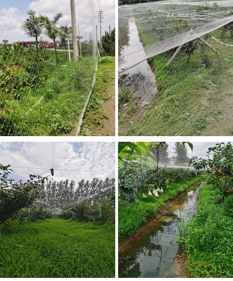 Heavy Duty Nylon Netting, Knot - đánh giá và giá Fishing Equipment Net