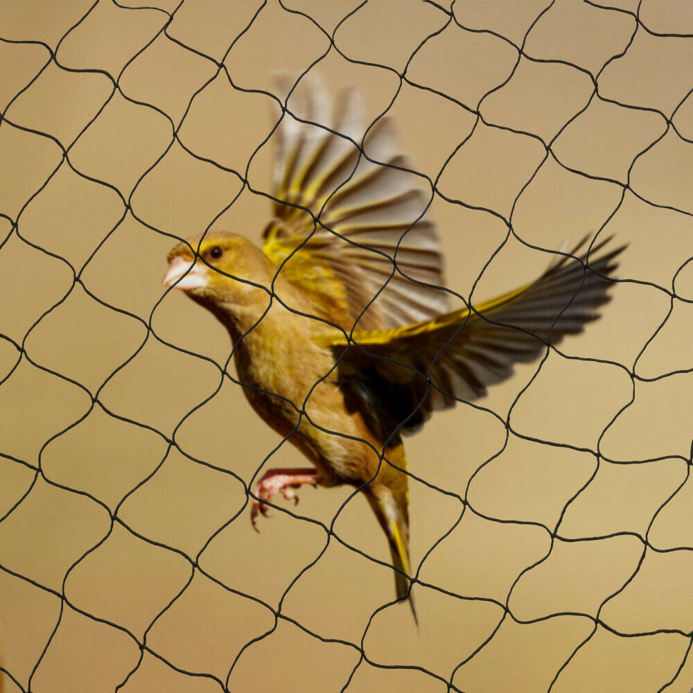 30*15M Bird Netting Agricultur - đánh giá và giá Fishing Equipment Net